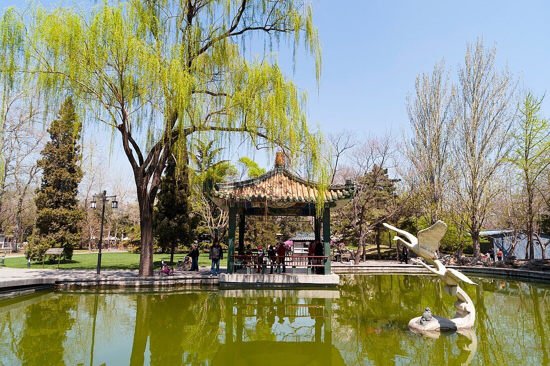 Pond, Ritan Park, Chaoyang District, Beijing, China, Asia