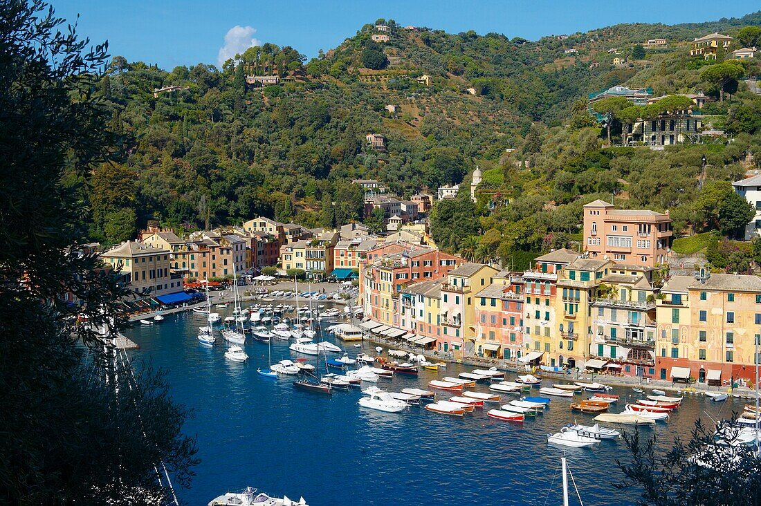 Harbour of Portofino  fashionable seaside fishing village for the wealthy  Ligurian Coast  Italy