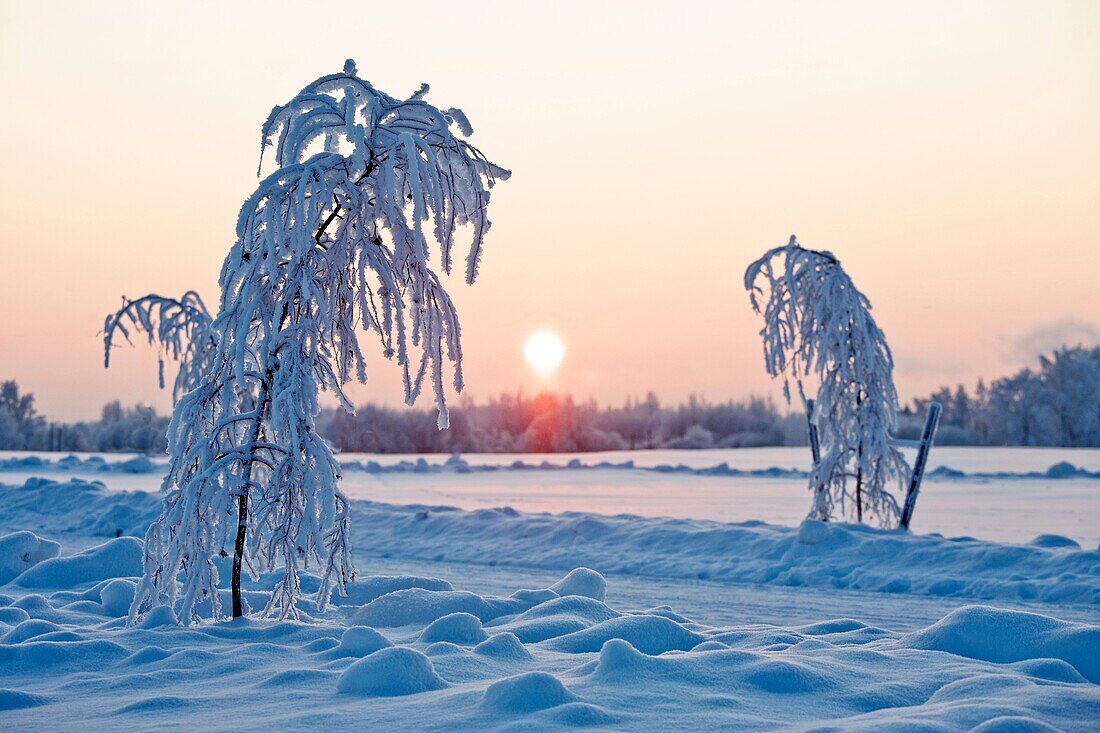 Winter, Tartu County, Estonia, Europe