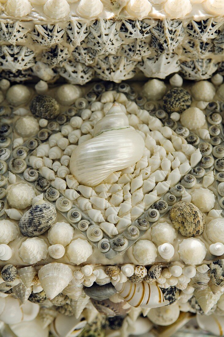 A pattern of various sized shells