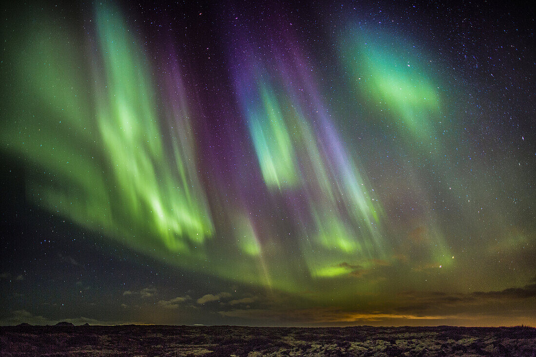 Aurora Borealis or Northern Lights, Alftanes, Iceland.