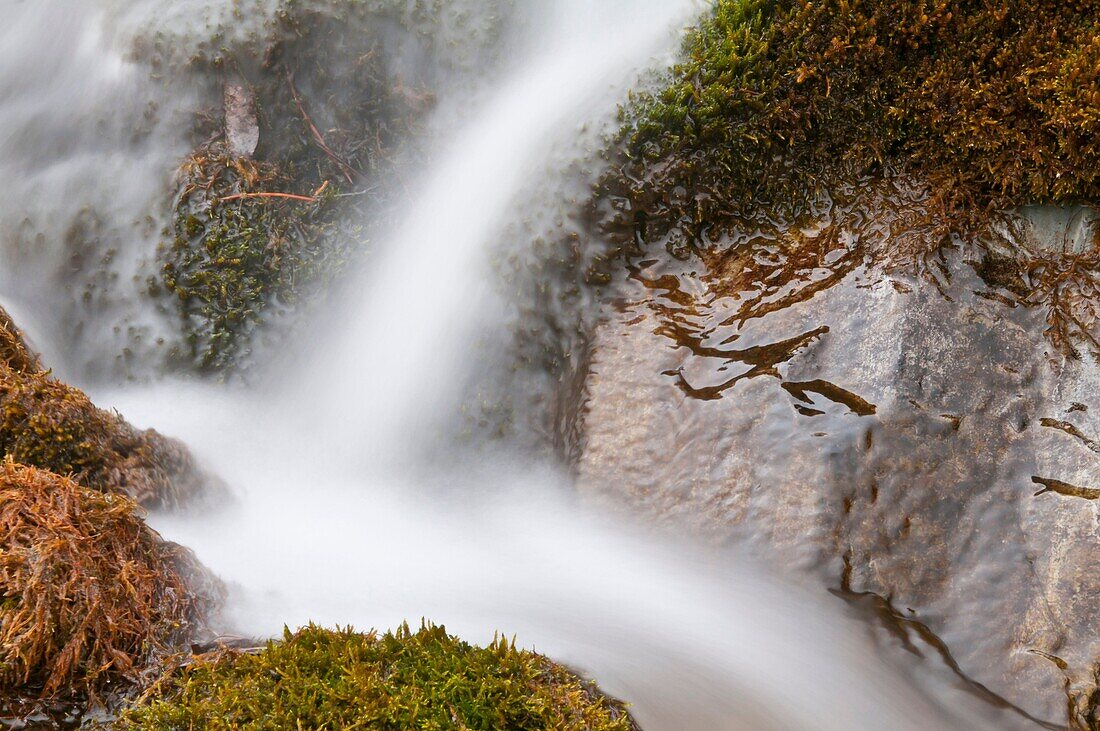Unnamed roadside waterfall, Icefields Parkway, Banff National Park, Alberta, Canada, slow shutter speed for motion blur