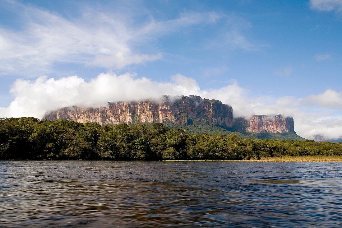 A big Tepui mountain by the coast of a river surrounded by clouds and trees, NATIONAL PARK CANAIMA, GUAYANA, VENEZUELA