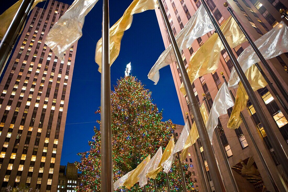 Christmas Tree surrounded by gold flags at the Rockefeller Center, New York