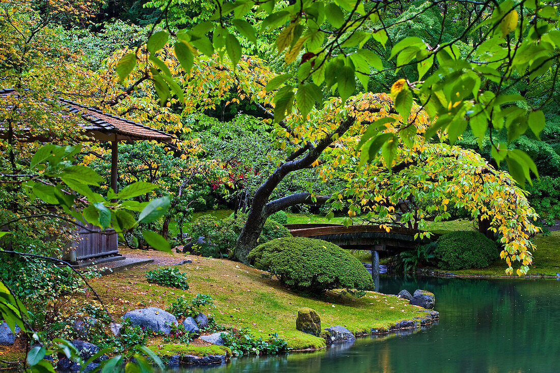 Scene from the Nitobe Japanese garden at UBC in Vancouver, Canada.