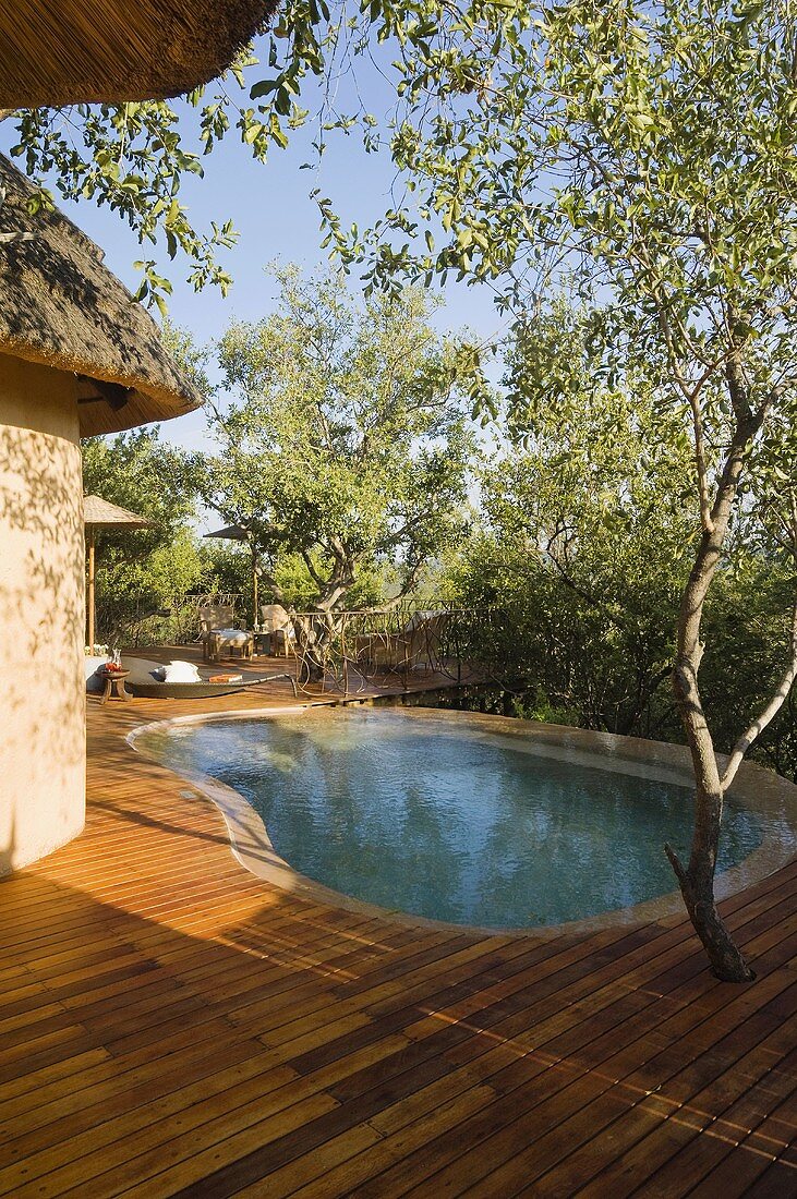 A terrace and a pool in a South African house