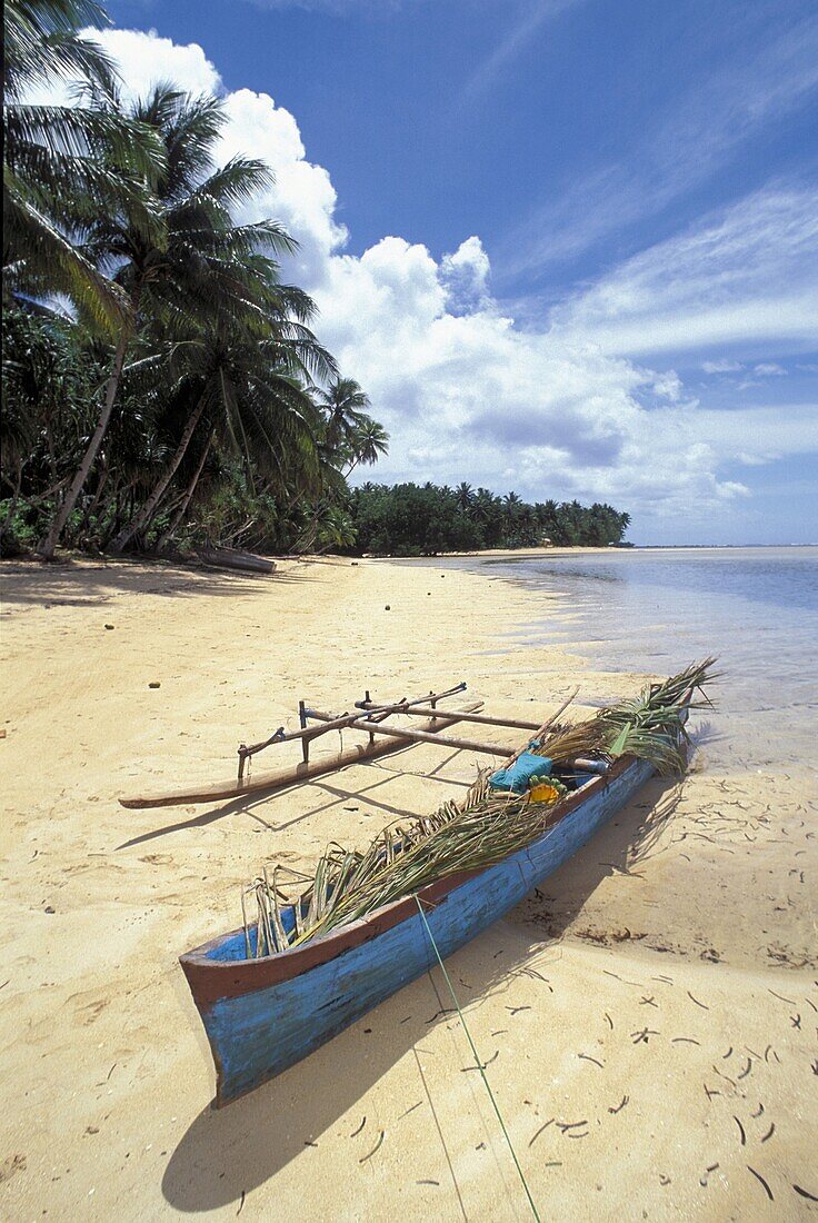 Outrigger canoe on palm tree-lined beach, village of Walung, Kosrae, Micronesia..