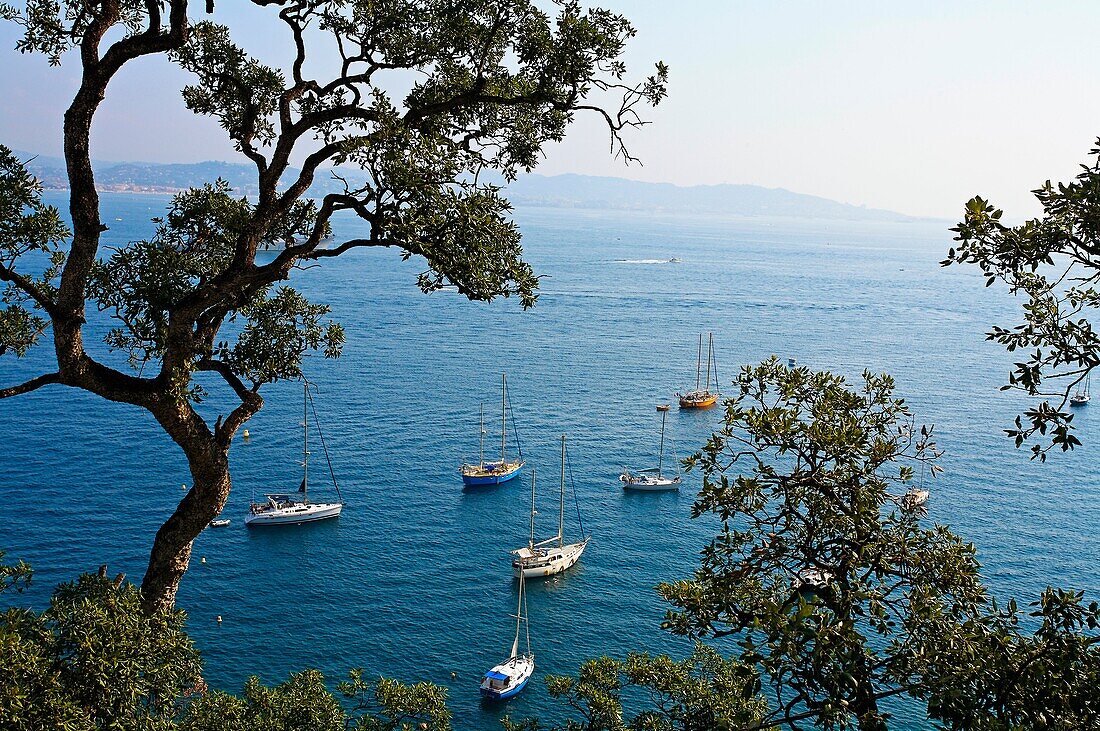 Theoule sur mer. Cannes. Alpes-Maritimes. French Riviera. Provence. France.