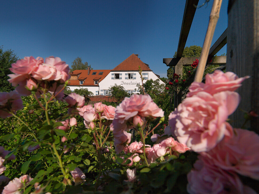 Restaurant-Hotel Inselwirt, Fraueninsel, Chiemsee, Bayern, Deutschland