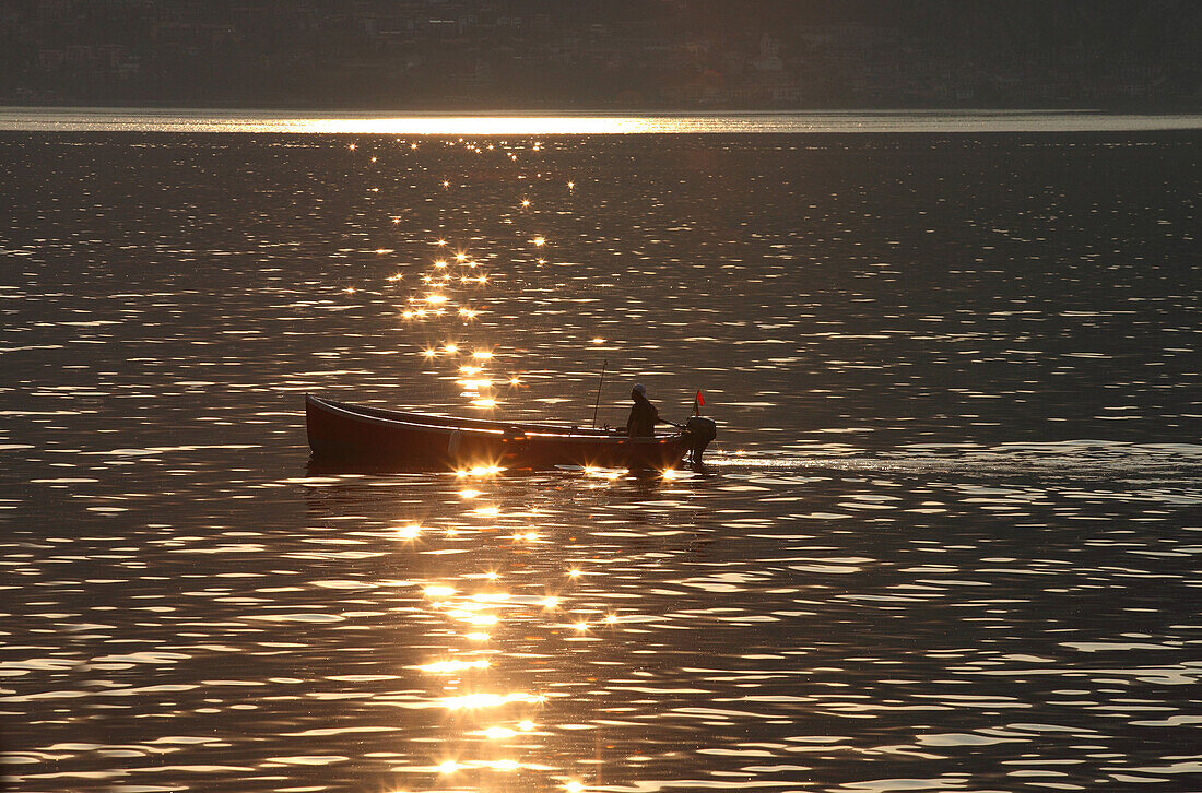 Fishing boat in evening sun, Torri del Benaco, Lake Garda, Verona, Veneto, Italy