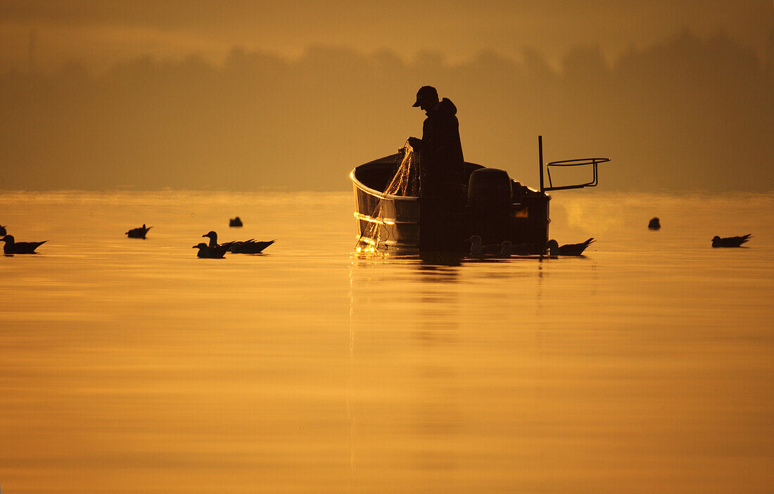 Fisherman at sunrise, lake Chiemsee, Bavaria, Germany