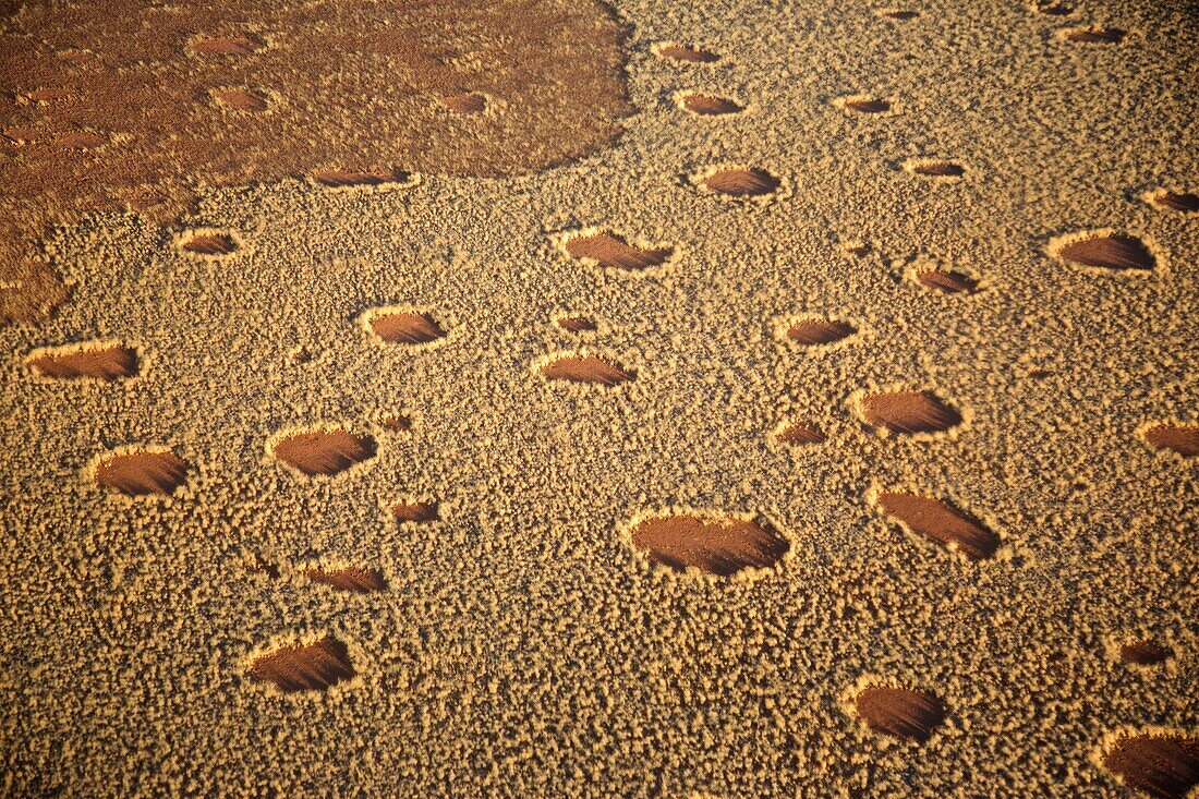 Aerial shot of fairy circles in the savanna, Namibia