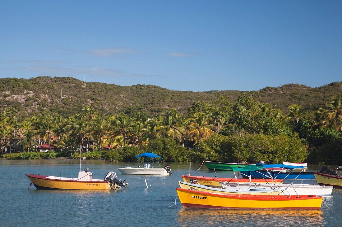 Puerto Rico, South Coast, Guanica, Bahia de la Ballena bay, boats.