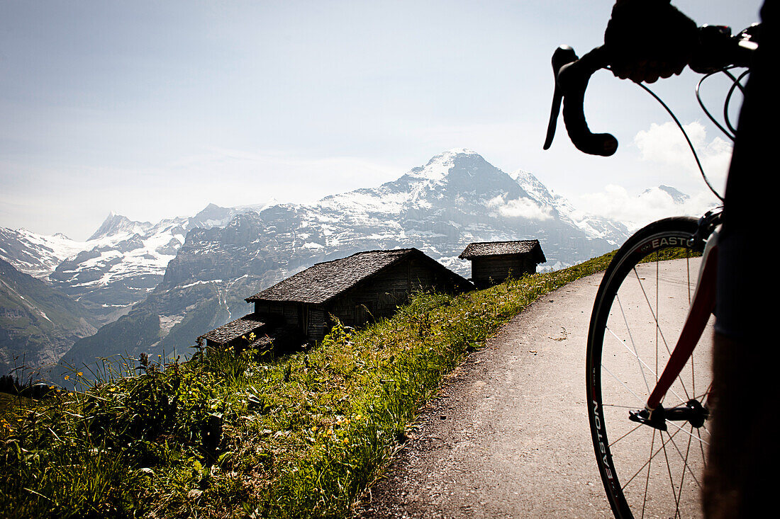 Cyclist on mountain pass, view to Eiger and Moench, Bussalp, Bernese Oberland, Switzerland