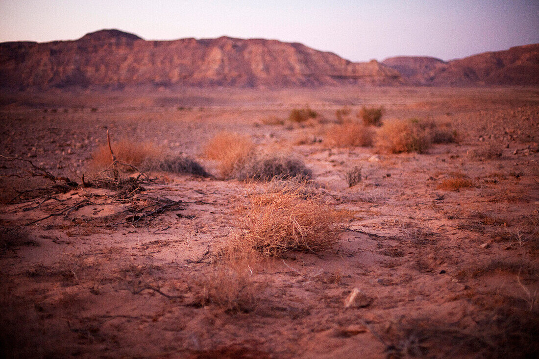 Abend in der Wüste, Kraterrand im Hintergrund, Machtesch Ramon, Wüste Negev, Israel