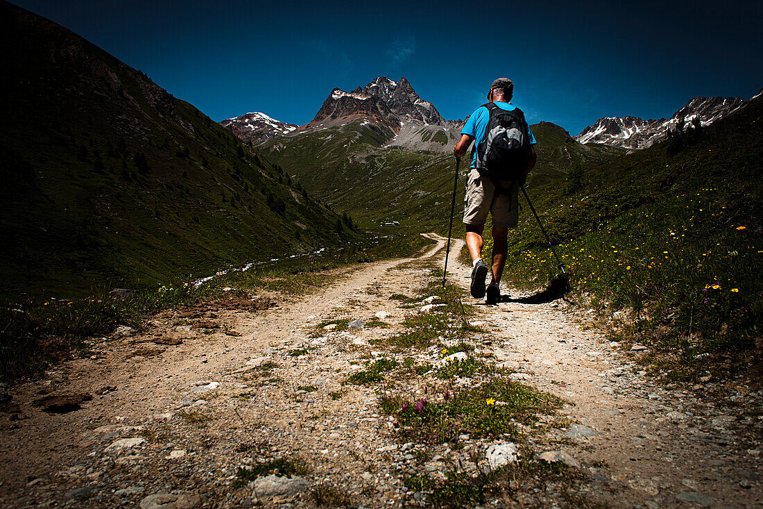 Hiker on path, Piz Kesch in the background, Val d'Es-cha, Upper Engadine, Switzerland