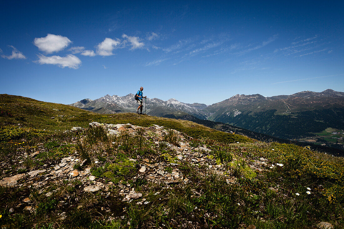 Hiker walking on mountain meadow, Monte die Glorenza (2395 m), Vinschgau, South Tyrol, Italy