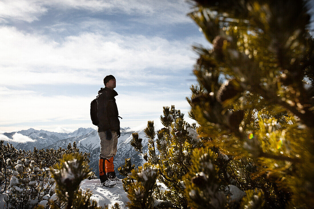 Hiker standing between snow-covered mountain pines, descent from Unnutz Mountain (2078 m), Rofan Mountains, Tyrol, Austria