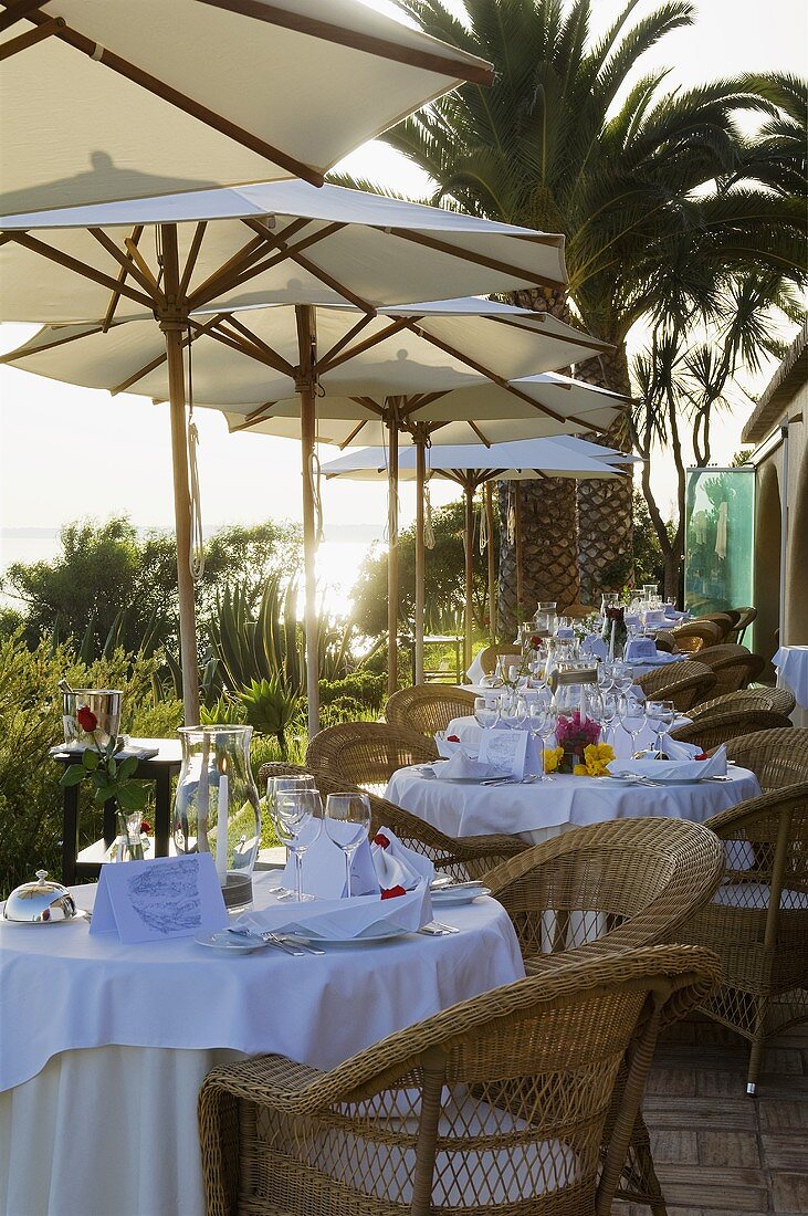 A table laid on a terrace under a sunshade with palm trees