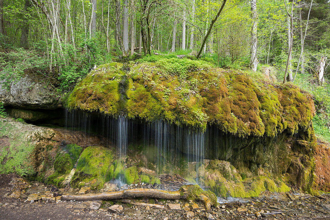 Wutachschlucht, near Bonndorf, Black Forest, Baden-Würtemberg, Germany