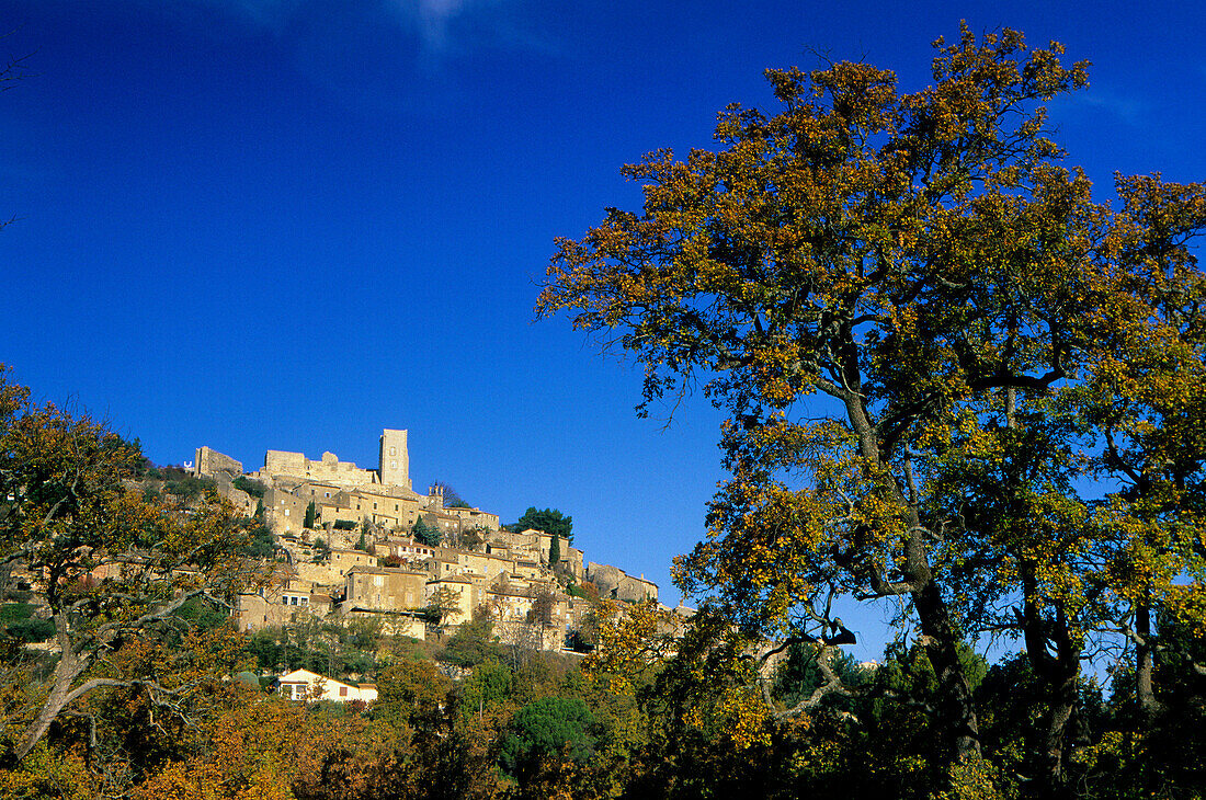 Lacoste, France, Provence, Vaucluse, village, castle, trees, autumn