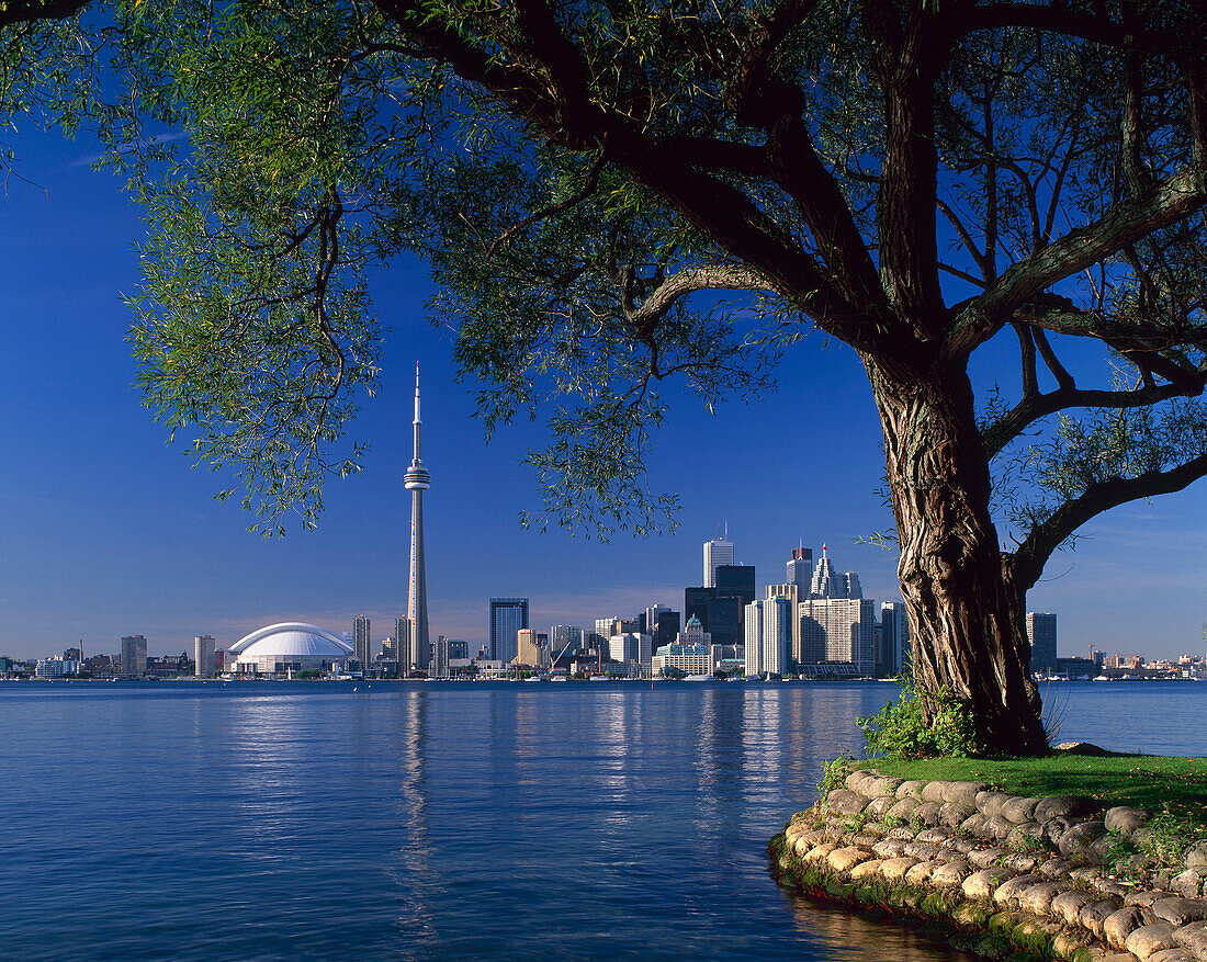 Skyline and CN Tower, Toronto, Ontario, Canada