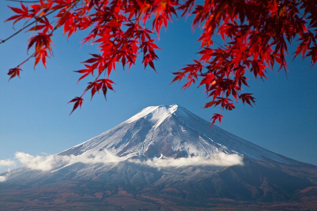 Japan, November, Asia, mountain Fuji, Fuji, maple, red, Japanese, maple, Momiji, snow, scenery