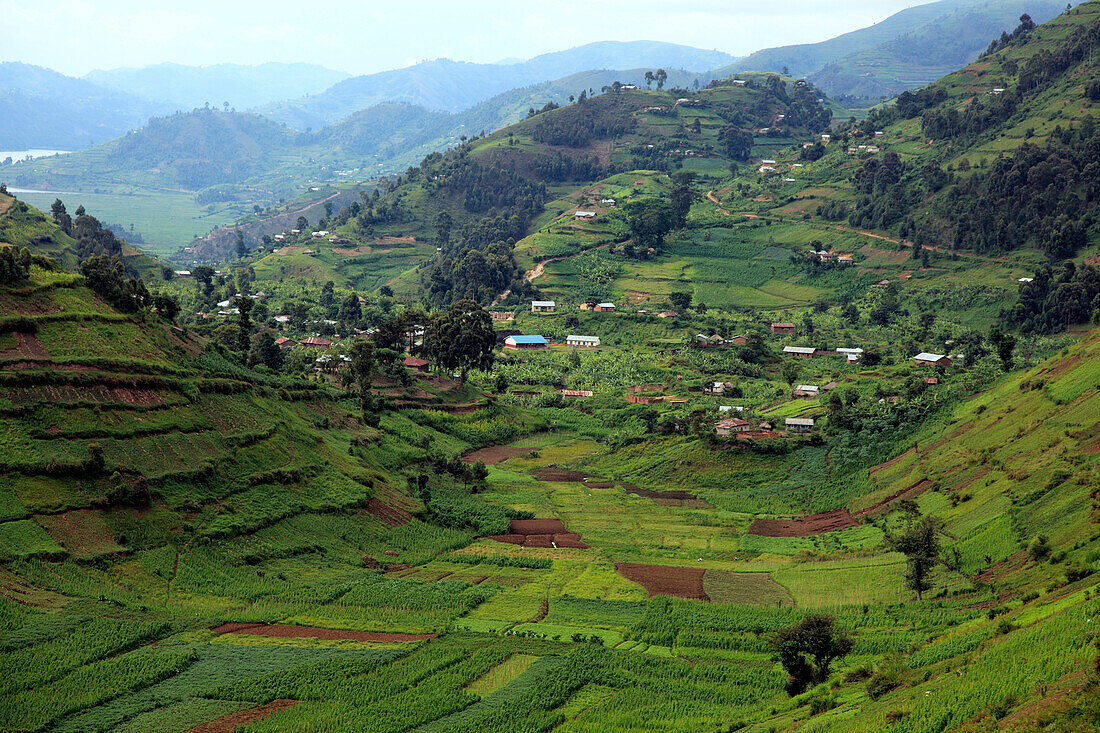 Africa, African, Travel, Nature, Landscape, Kisoro, Uganda, Sub_Saharan, East Africa, Scenic, landscape, travel, trip, Adventure, tropics, tropical, equator, equatorial, Third world, Mount, mountain, mountains, rural, Field