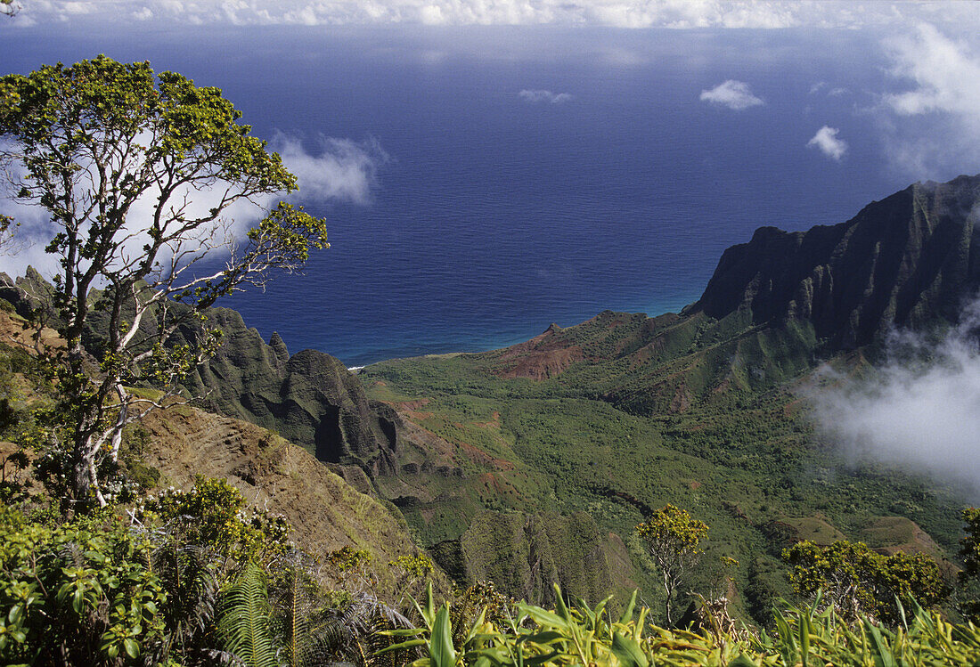 Kalalau Valley, na pali coast, aerial view, Kauai Island, Hawaii, USA, United States, America,