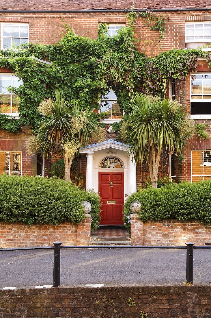 An English town house with a red front door and palm trees against the brick facade