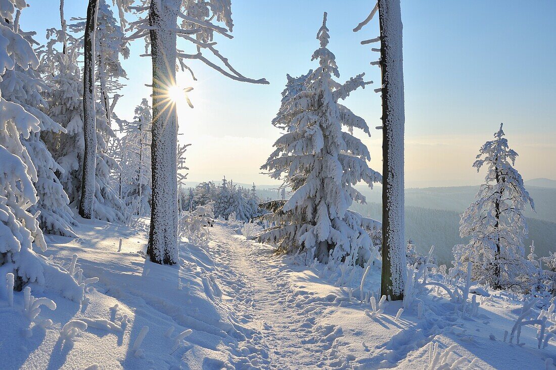 Snow covered Winter Landscape with Path, Grosser Inselsberg, Brotterode, Thuringia, Germany