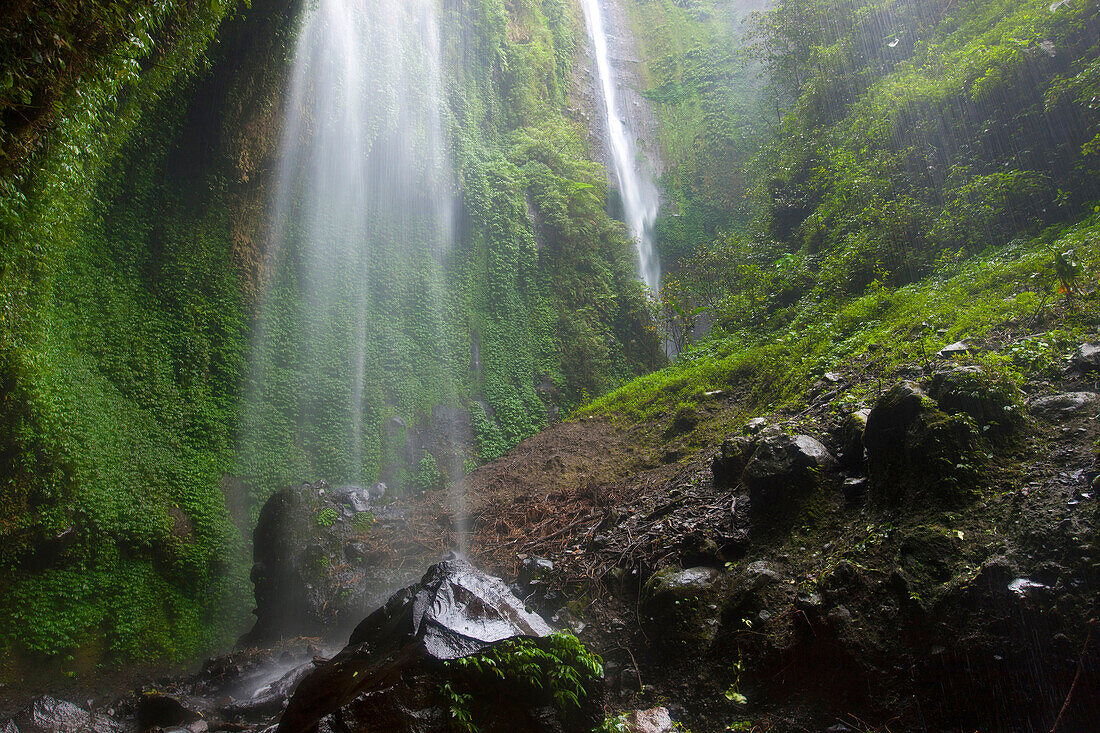 Madakaripura, Indonesia, Asia, Java, primeval forest, jungle, rain forest, nature, gulch, rock, cliff, waterfalls