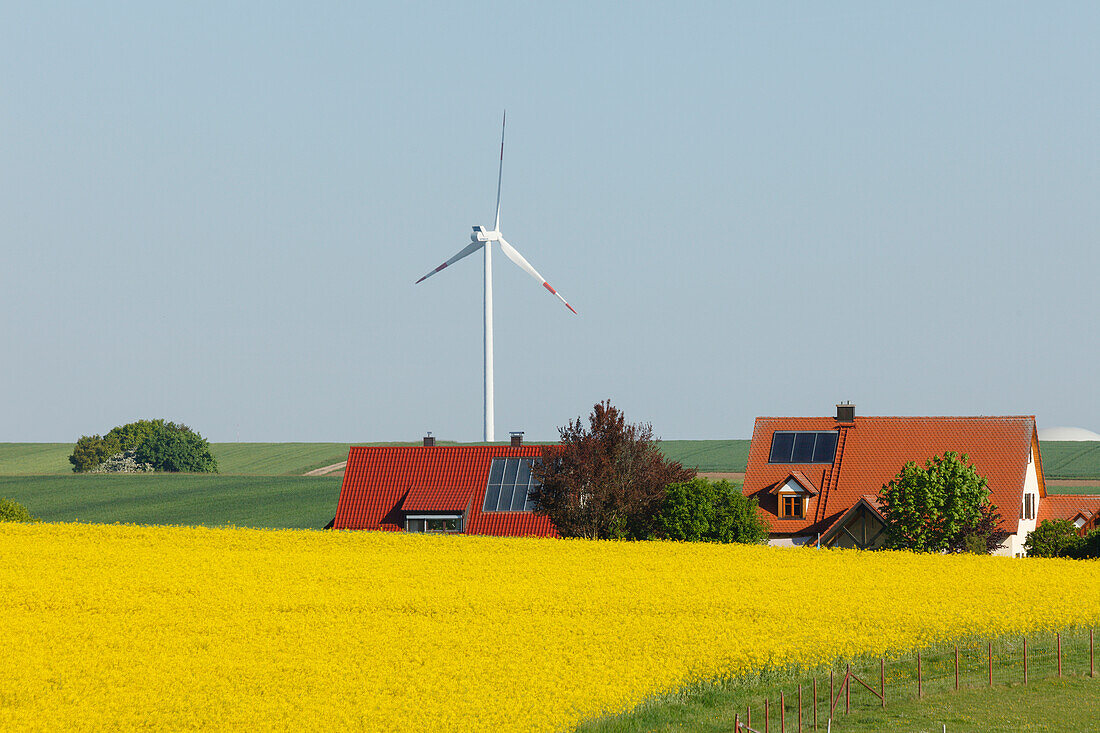 Windkraftanlage, Windrad,  Häuser mit Solarzellen, Rapsfeld, Bioenergie, erneuerbare Energie, bei Gunzenhausen, Mittelfranken, Franken, Bayern, Deutschland, Europa