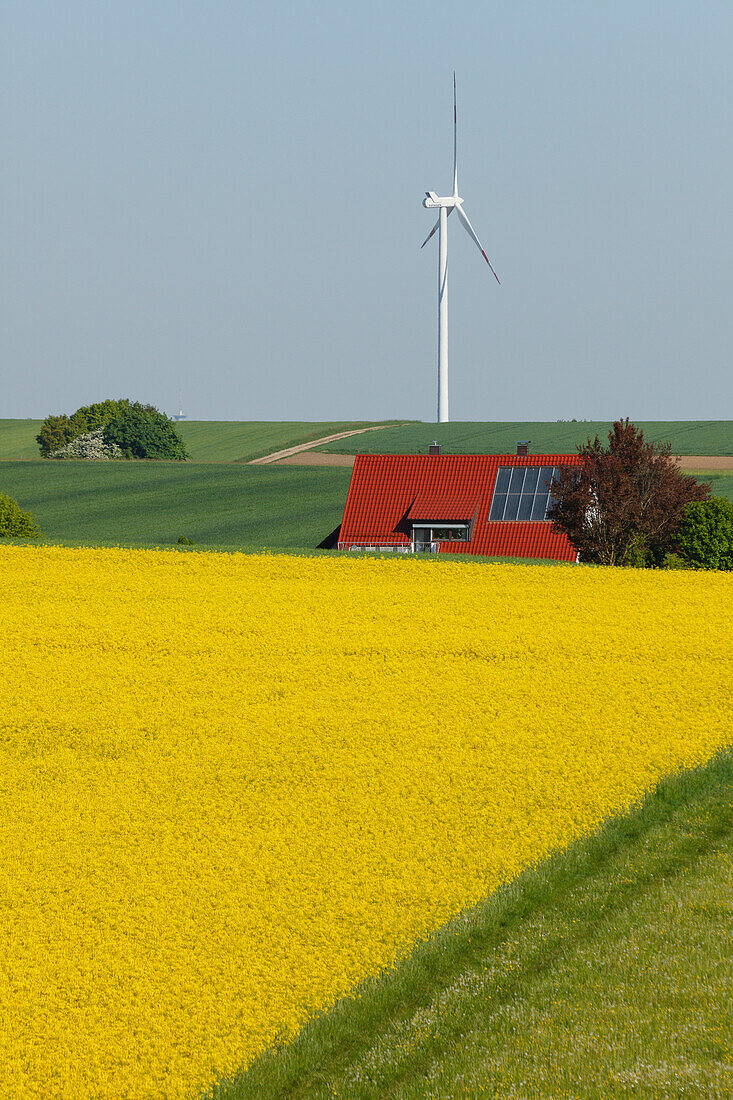 Windkraftanlage, Windrad,  Haus mit Solarzellen, Rapsfeld, Bioenergie, erneuerbare Energie, bei Gunzenhausen, Mittelfranken, Franken, Bayern, Deutschland, Europa