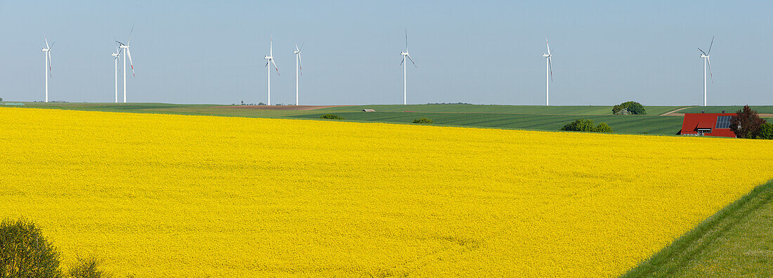 Wind turbines, house with solar cells, photovoltaic cells, rapeseed field, bio-energy, renewable energy, near Gunzenhausen, Mittelfranken, Lower Franconia, Franconia, Bavaria, Germany, Europe