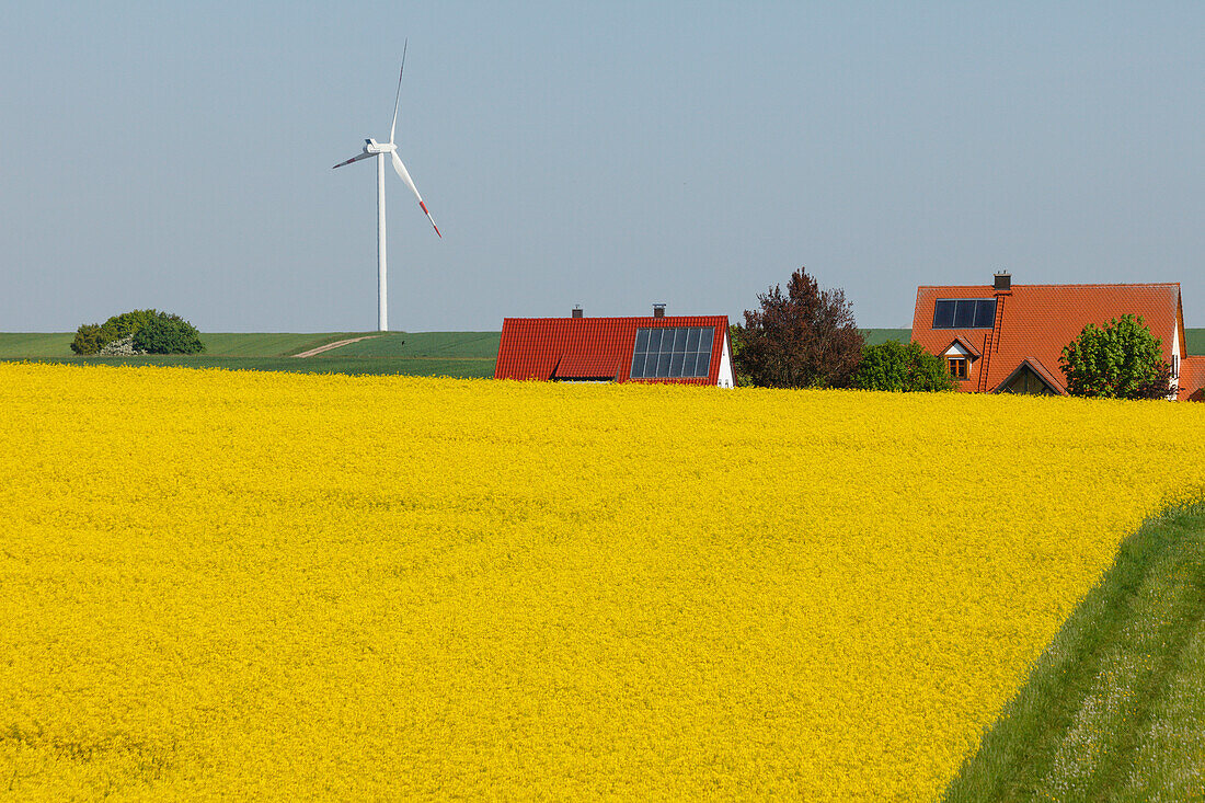 Wind turbines, houses with solar cells, photovoltaic cells, rapeseed field, bio-energy, renewable energy, near Gunzenhausen, Mittelfranken, Lower Franconia, Franconia, Bavaria, Germany, Europe