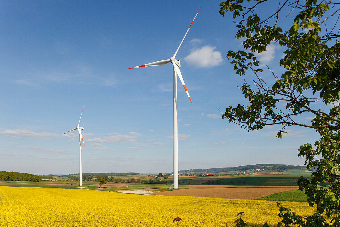 Windkraftanlage, Windräder, Rapsfeld, Bioenergie, erneuerbare Energie, bei Gunzenhausen, Mittelfranken, Franken, Bayern, Deutschland, Europa