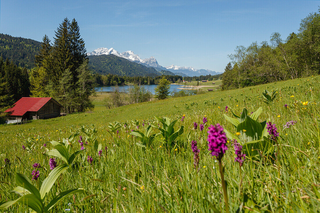 Geroldsee, lake near Mittenwald in spring, barn, Wetterstein mountains, Werdenfelser Land, Baverian Alps, Upper Baveria, Bavaria, Germany, Europe