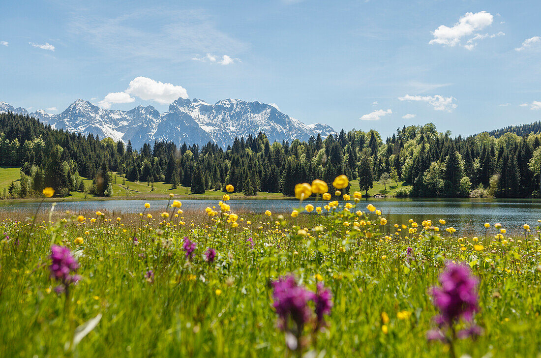 Geroldsee, lake near Mittenwald in Spring with Karwendel mountains in the background, Werdenfelser Land, Baverian Alps, Upper Baveria, Bavaria, Germany, Europe