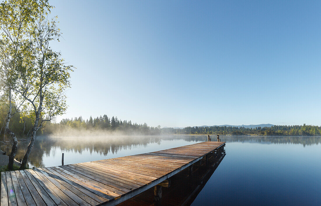 wooden pier, bathing pier at lake Kirchsee near Sachsenkamm in Spring at sunrise, moorland lake, Ellbach and Kirchseemoor nature reserve, Landkreis Bad Toelz- Wolfratshausen, Upper Bavaria, Bavaria, Germany, Europe