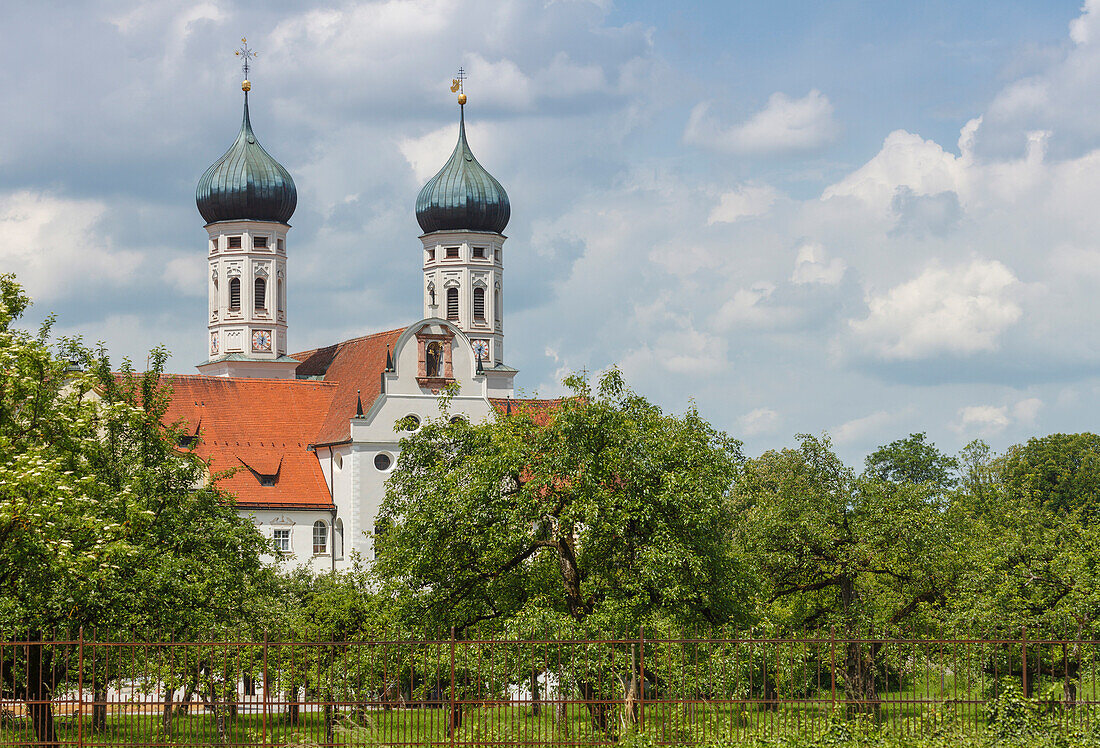 Klosterkirche, Kloster Benediktbeuern, Benediktiner, 17.Jhd., Benediktbeuern, Landkreis Bad Tölz-Wolfratshausen, Oberbayern, Bayern, Deutschland, Europa