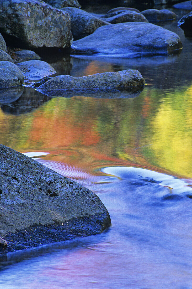 Autumn colour reflected in pool of water along the Swift River, near Conway, NH, USA