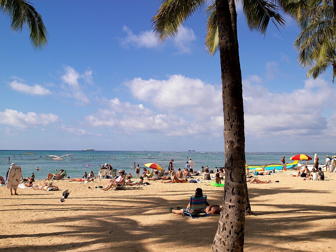 Waikiki Beach  Honolulu  Oahu  Hawaii  USA