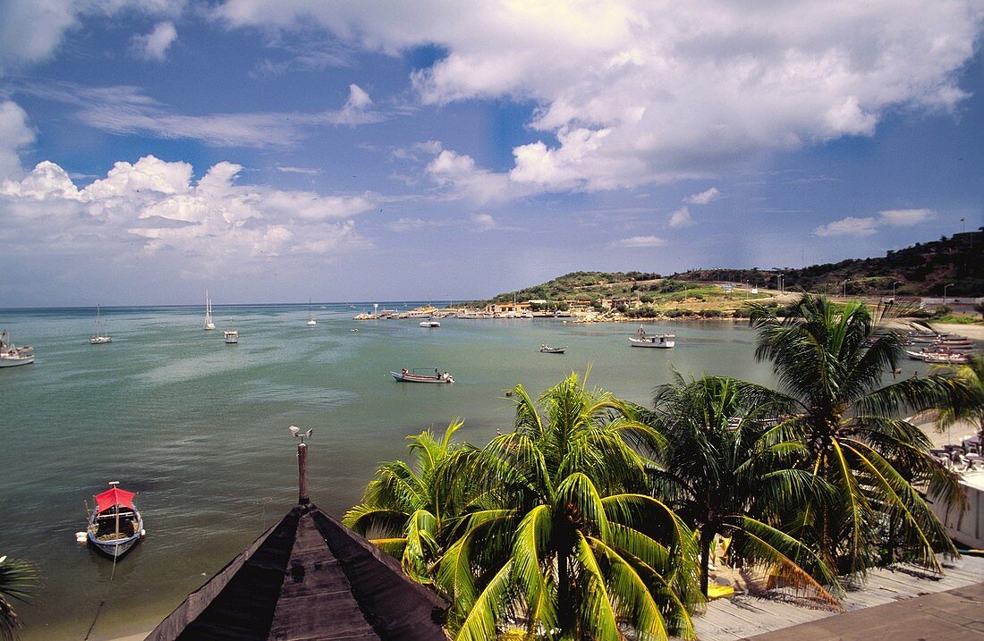 Playa Manzanillo, Isla Margarita, Nueva Esparta State, Venezuela