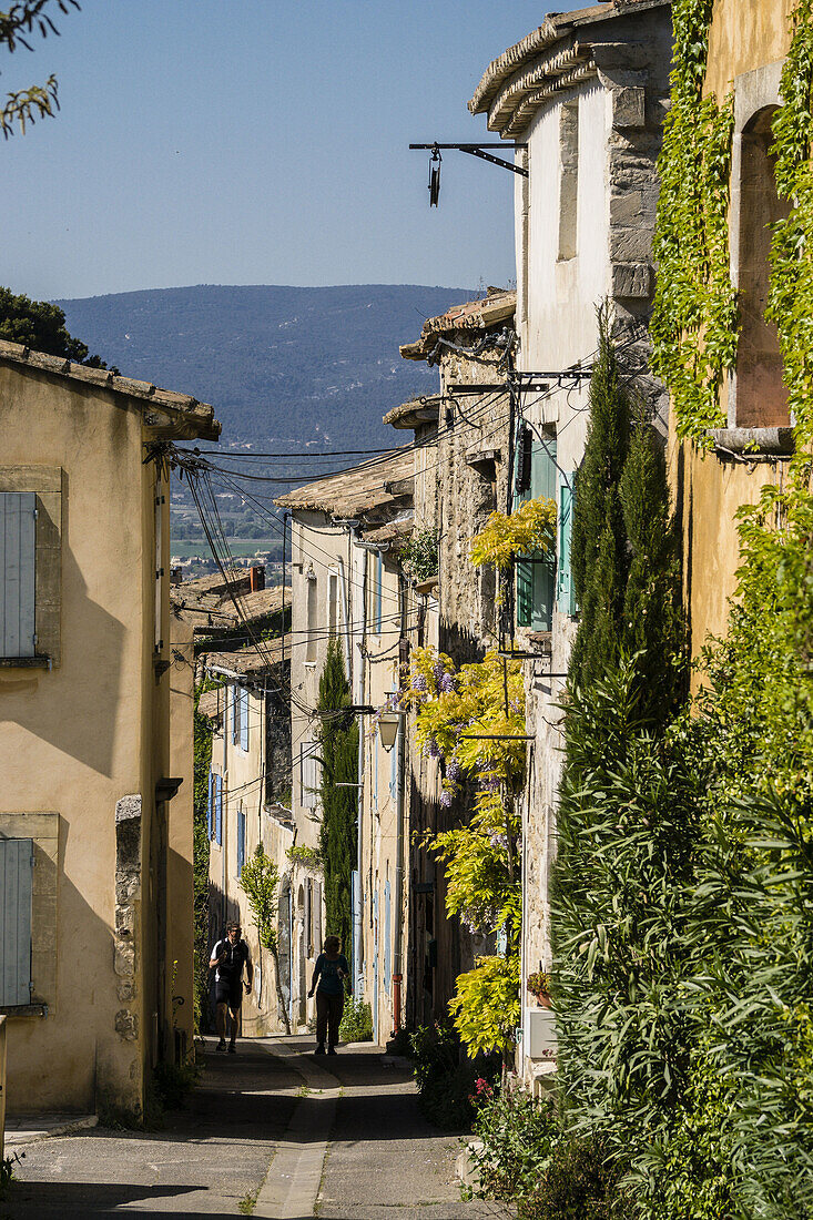 Menerbes, Luberon-Gebirge, Provence-Alpes-Côte dAzur, Frankreich