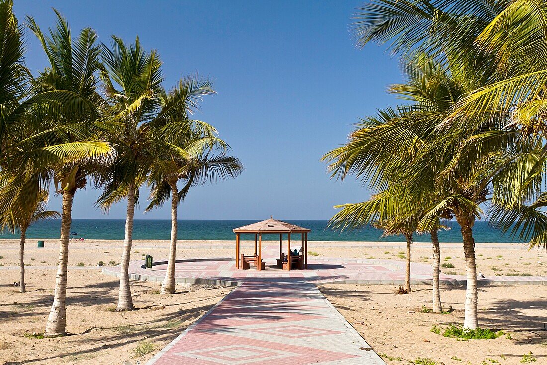 A small beach shelter in a palm tree forest on the Gulf of Oman near Muscat, Oman