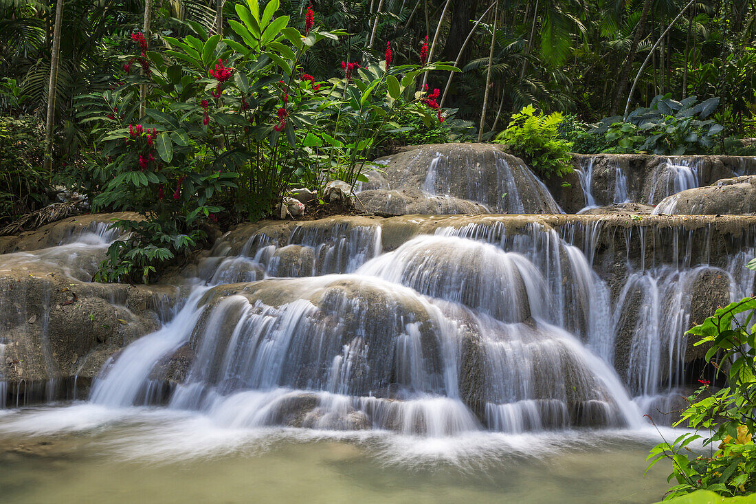 A waterfall at the Turtle River Falls … – License image – 70778686 ...