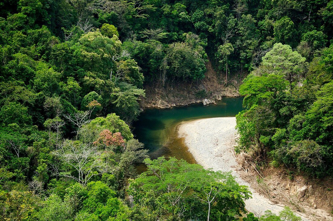 Chagres river bed and rainforest  Chagres National Park, Panama province, Panama, Central America