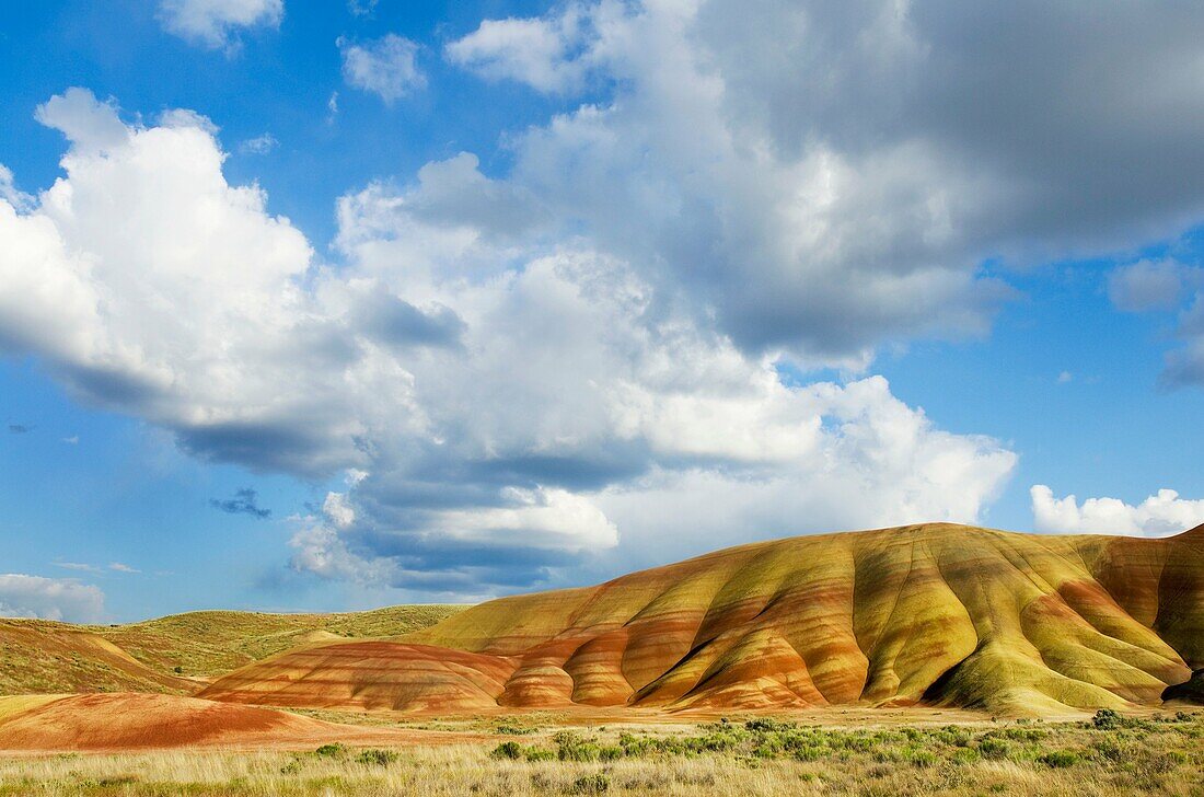 Painted Hill Unit of John Day Fossil Beds National Monument Oregon