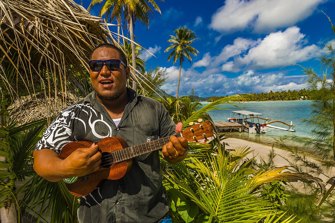 Polynesian man playing a ukelele, Haapiti Motu (a small private island) off Bora Bora, Society Islands, French Polynesia.